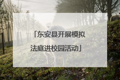东安县开展模拟法庭进校园活动