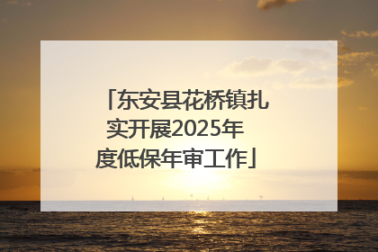 东安县花桥镇扎实开展2025年度低保年审工作