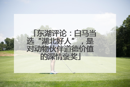 东湖评论：白马当选“湖北好人”，是对动物伙伴道德价值的深情褒奖