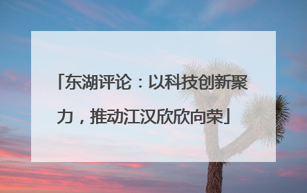 东湖评论：以科技创新聚力，推动江汉欣欣向荣