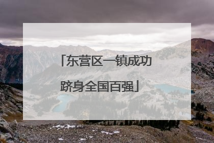 东营区一镇成功跻身全国百强