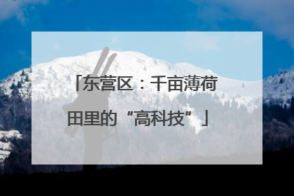 东营区：千亩薄荷田里的“高科技”