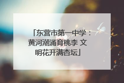 东营市第一中学：黄河潮涌育桃李 文明花开满杏坛