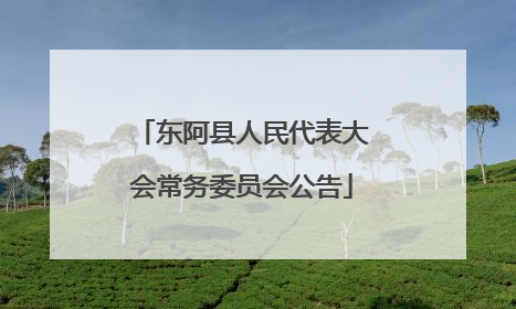 东阿县人民代表大会常务委员会公告