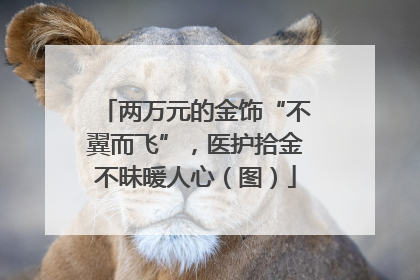 两万元的金饰“不翼而飞”，医护拾金不昧暖人心（图）