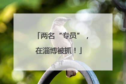 两名“专员”，在淄博被抓！