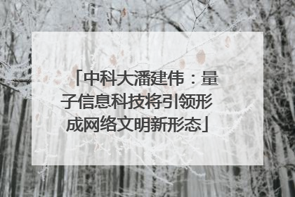 中科大潘建伟：量子信息科技将引领形成网络文明新形态