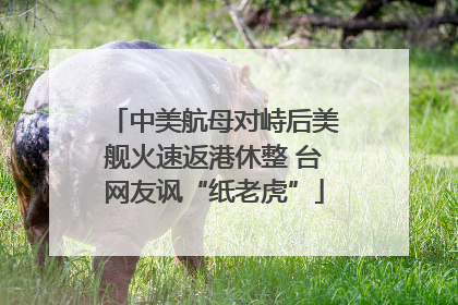 中美航母对峙后美舰火速返港休整 台网友讽“纸老虎”