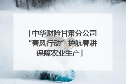 中华财险甘肃分公司“春风行动”护航春耕 保障农业生产