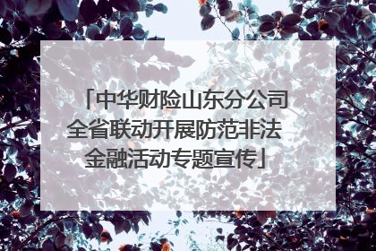 中华财险山东分公司全省联动开展防范非法金融活动专题宣传