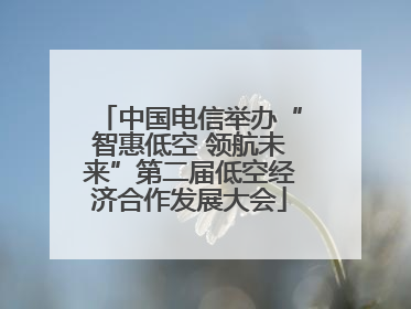 中国电信举办“智惠低空 领航未来”第二届低空经济合作发展大会
