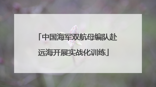 中国海军双航母编队赴远海开展实战化训练