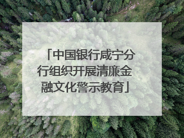 中国银行咸宁分行组织开展清廉金融文化警示教育