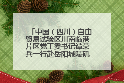 中国（四川）自由贸易试验区川南临港片区党工委书记谭荣兵一行赴岳阳城陵矶综保区考察