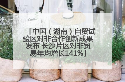 中国（湖南）自贸试验区对非合作创新成果发布 长沙片区对非贸易年均增长141%