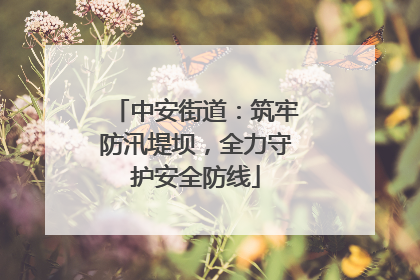 中安街道：筑牢防汛堤坝，全力守护安全防线