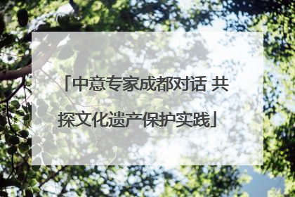 中意专家成都对话 共探文化遗产保护实践