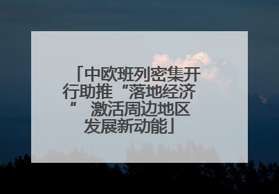 中欧班列密集开行助推“落地经济” 激活周边地区发展新动能