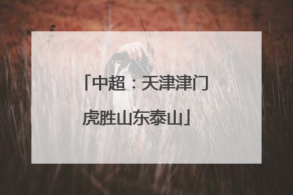 中超：天津津门虎胜山东泰山
