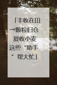 丰收在田→颗粒归仓 夏收小麦这些“助手”帮大忙