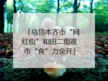乌鲁木齐市“网红街”和田二街夜市“食”力全开