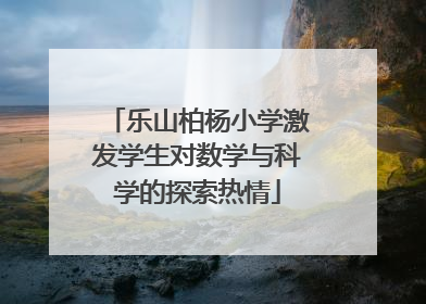乐山柏杨小学激发学生对数学与科学的探索热情