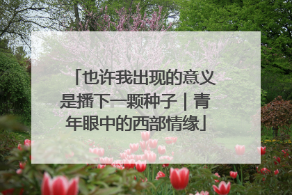 也许我出现的意义是播下一颗种子｜青年眼中的西部情缘