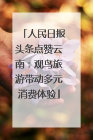 人民日报头条点赞云南：观鸟旅游带动多元消费体验