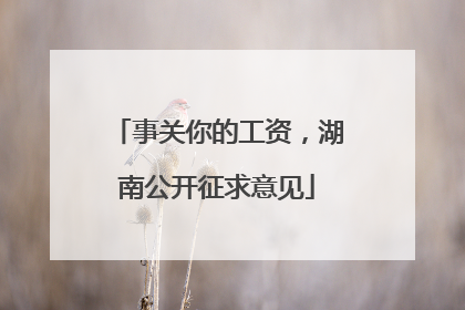 事关你的工资，湖南公开征求意见