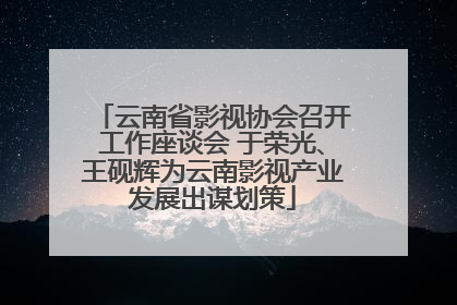 云南省影视协会召开工作座谈会 于荣光、王砚辉为云南影视产业发展出谋划策