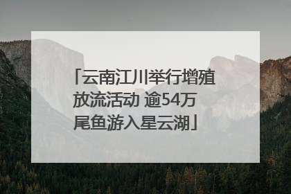 云南江川举行增殖放流活动 逾54万尾鱼游入星云湖