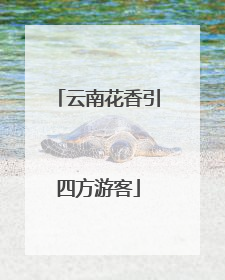 云南花香引四方游客