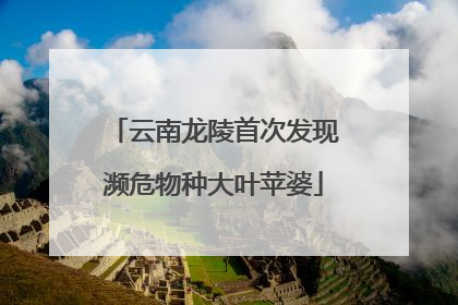 云南龙陵首次发现濒危物种大叶苹婆