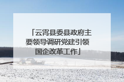 云霄县委县政府主要领导调研党建引领国企改革工作