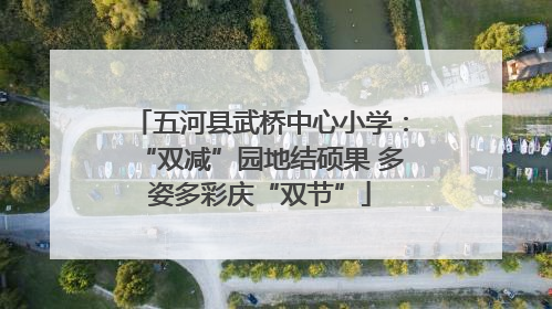 五河县武桥中心小学：“双减”园地结硕果 多姿多彩庆“双节”