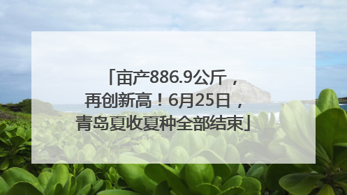 亩产886.9公斤，再创新高！6月25日，青岛夏收夏种全部结束