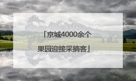 京城4000余个果园迎接采摘客