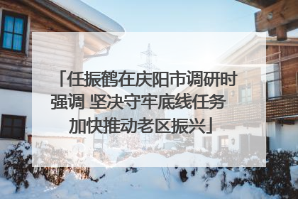 任振鹤在庆阳市调研时强调 坚决守牢底线任务 加快推动老区振兴