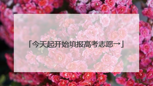 今天起开始填报高考志愿→