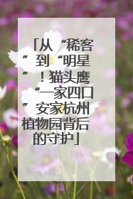 从“稀客”到“明星”！猫头鹰“一家四口”安家杭州植物园背后的守护