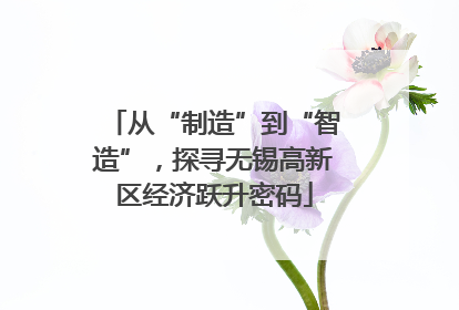 从“制造”到“智造”，探寻无锡高新区经济跃升密码