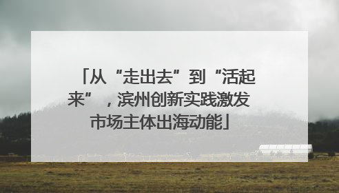 从“走出去”到“活起来”，滨州创新实践激发市场主体出海动能
