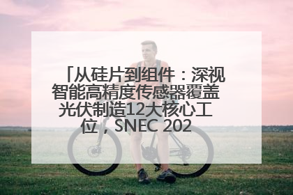 从硅片到组件：深视智能高精度传感器覆盖光伏制造12大核心工位，SNEC 2025诚邀见证