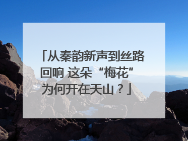 从秦韵新声到丝路回响 这朵“梅花”为何开在天山？