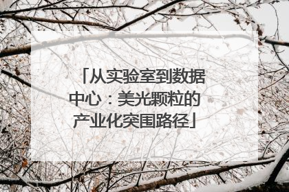从实验室到数据中心：美光颗粒的产业化突围路径