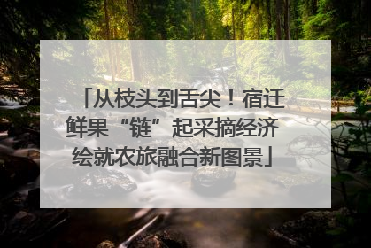 从枝头到舌尖！宿迁鲜果“链”起采摘经济绘就农旅融合新图景