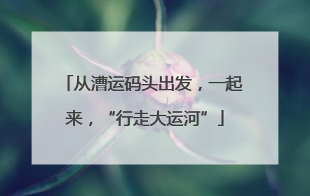 从漕运码头出发，一起来，“行走大运河”