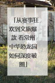 从赛事狂欢到文旅爆款 看常州中华恐龙园如何深度破圈