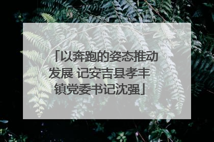 以奔跑的姿态推动发展 记安吉县孝丰镇党委书记沈强
