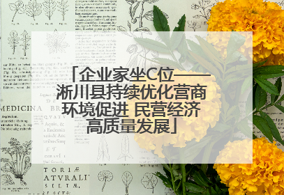 企业家坐C位——淅川县持续优化营商环境促进 民营经济高质量发展